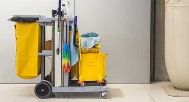 Cleaning Cart